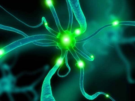 8 věcí, které možná nevíte o svém těle 